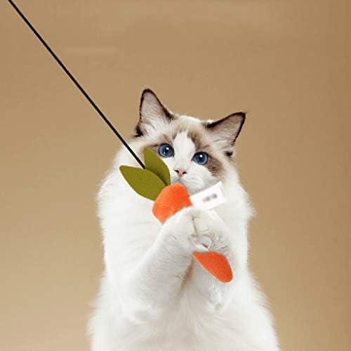 Смешни Мачка Држи Катници Само-Лекување Артефакт Маче Играчка Смешно Мачка Материјали