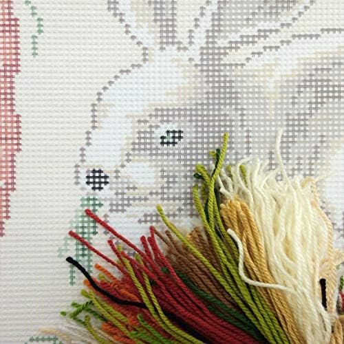 Зајак со Моркови. Needlepoint Комплет. Фрли Перница 16×16 Инчи. Печатени Tapestry Платно, Европски Квалитет