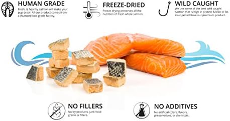 Сите Природни Замрзнување Овошје Лосос Куче Третира – со Омега 3 и Омега 6 Рибино Масло – со IM K9 – Чиста Риба со Кожата –